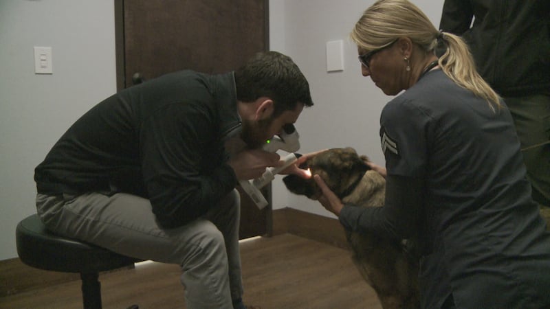 Dr. Kevin Snyder examines the eyes of a working dog