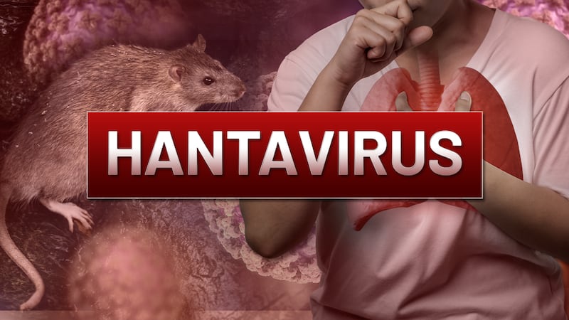 WHO Bagikan 7 Cara Pencegahan Hantavirus WHO Bagikan 7 Cara Pencegahan Hantavirus
