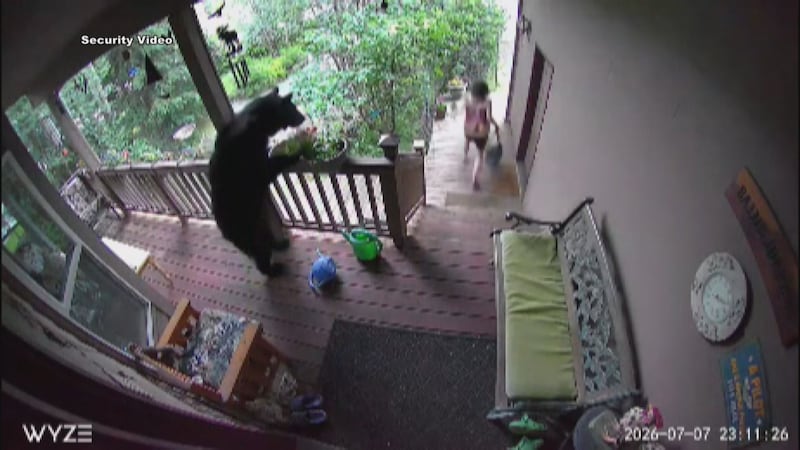 A bear gives a scare at an Anchorage home