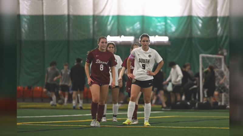 Dimond's Kate Seibert (left) and South's Addison Bailey (right) await throw-in at The Dome in...