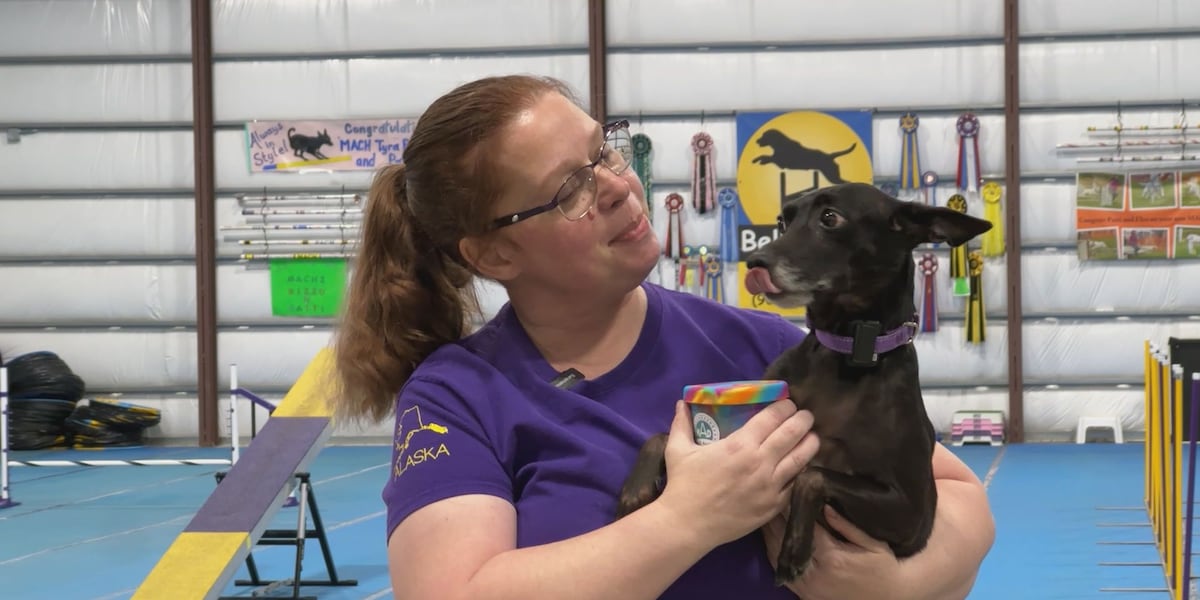 Tyra Banks, Alaska canine superstar, is fastest on 4 legs Tyra Banks, Alaska canine superstar, is fastest on 4 legs