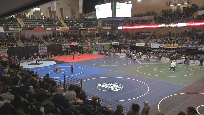 Fans watch inside the Alaska Airlines Center as wrestlers attempt to qualify for the...