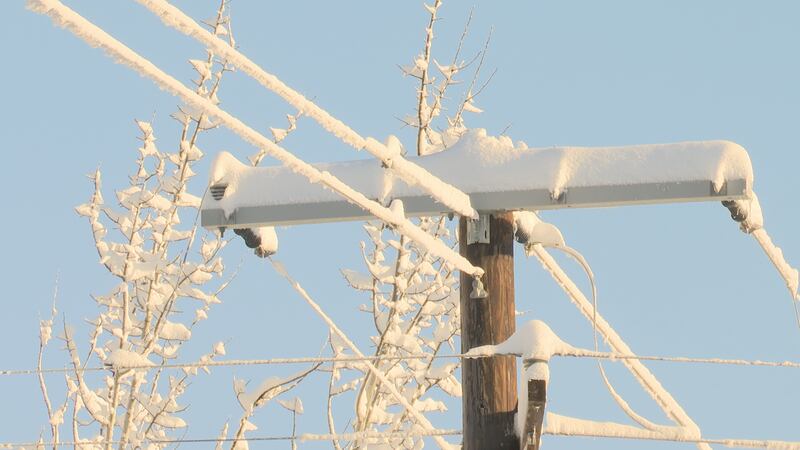 A powerline in the Mat-Su is blanketed in a thick layer of snow, after Southcentral Alaska's...