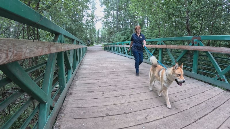 Tails on Trails lets people check-out dogs from the shelter