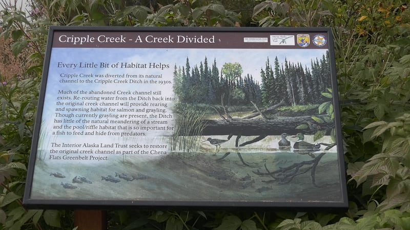 Kinross and Trout Unlimited partner for Cripple Creek restoration project.