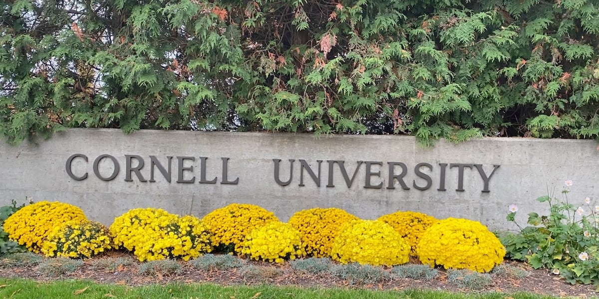 Coverage image for: Some Cornell frat members accused of gang rape punished with essays, lawsuit claims