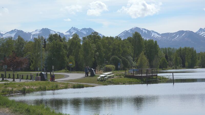 Anchorage is experiencing some of the highest pollen counts, particularly for tree and Birch...