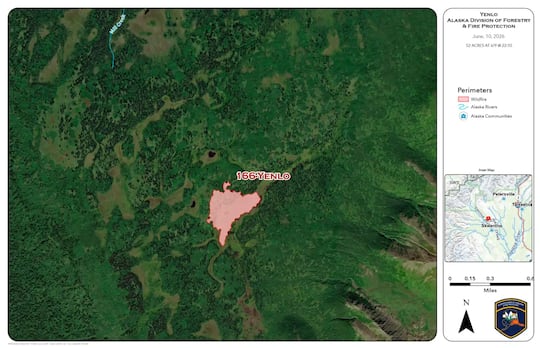 This map shows the location and perimeter of the Yenlo Fire (#166) on Wednesday, June 10.