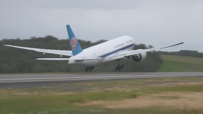 Biologists at the airport work hard to make sure planes and wildlife don't mix