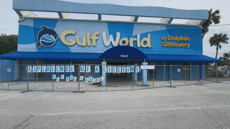 A fifth dolphin has died at Gulf World Marine Park, according to Florida officials.