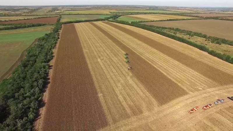 Secret Acres: Boom or Bubble?