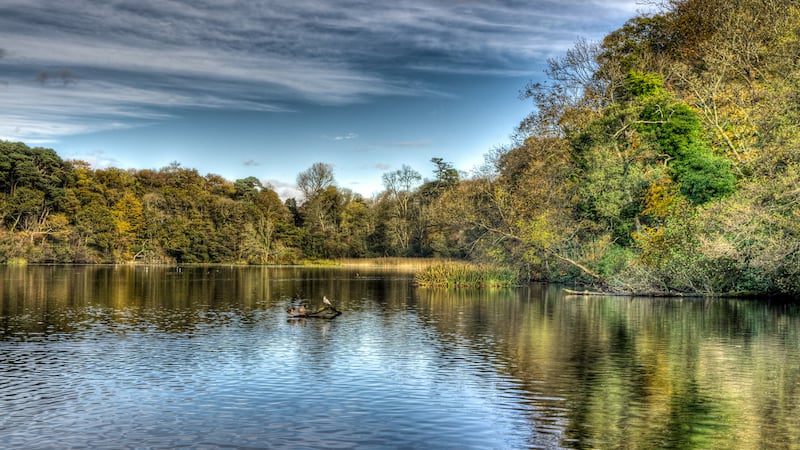 Officials said the location was remote and the driver was only able to give a vague...