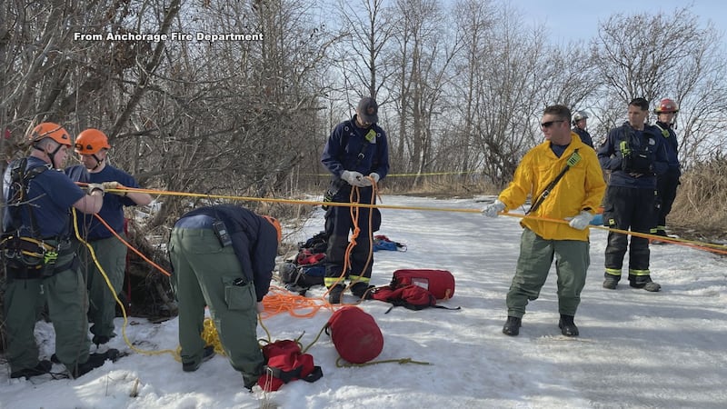 Personnel from multiple stations assisting with a rope rescue on the side of a cliff near...