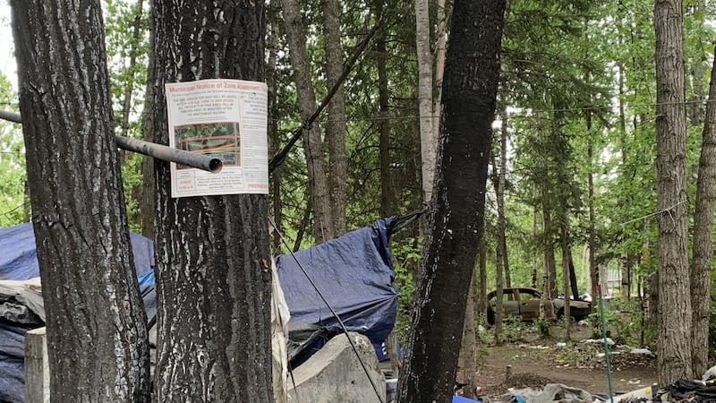 The city is promising to abate the homeless camp in Mountain View on June 17
