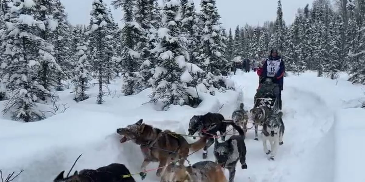 ‘Every fiber of me wishes I could change it all’: Veteran musher posts ...