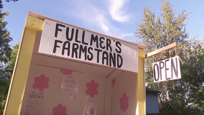Fullmer’s Farmstand: Eagle River bake stand sells out weekly with homemade goods