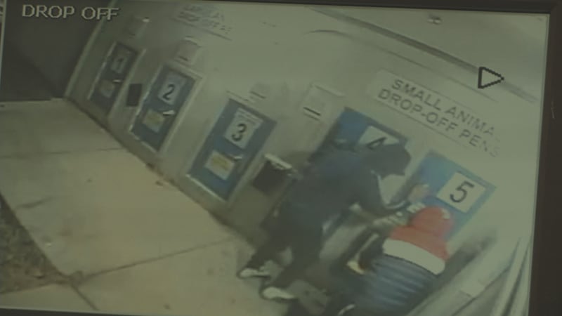 VIDEO: See the moment two men broke into the Anchorage Animal Care and Control Shelter