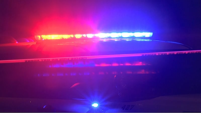 FILE - Police lights