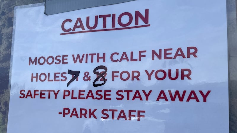 A moose trampled a woman and dog Friday evening at Kincaid Park, authorities say, leaving both...