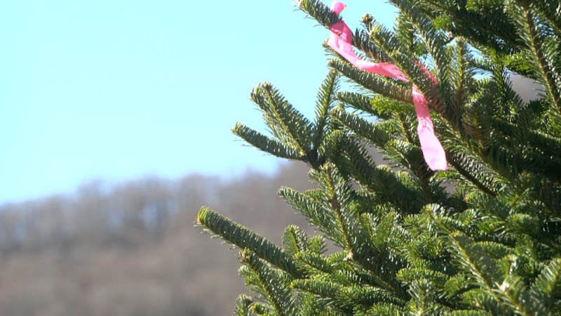 An Avery County family farm may have been hit the hardest by Hurricane Helene, losing more...