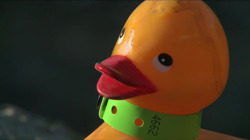 The Great Alaska Duck Race