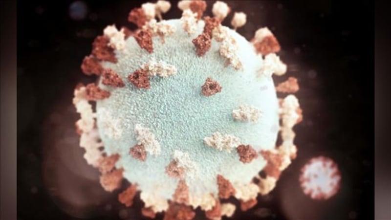 CDC / Allison M. Maiuri
