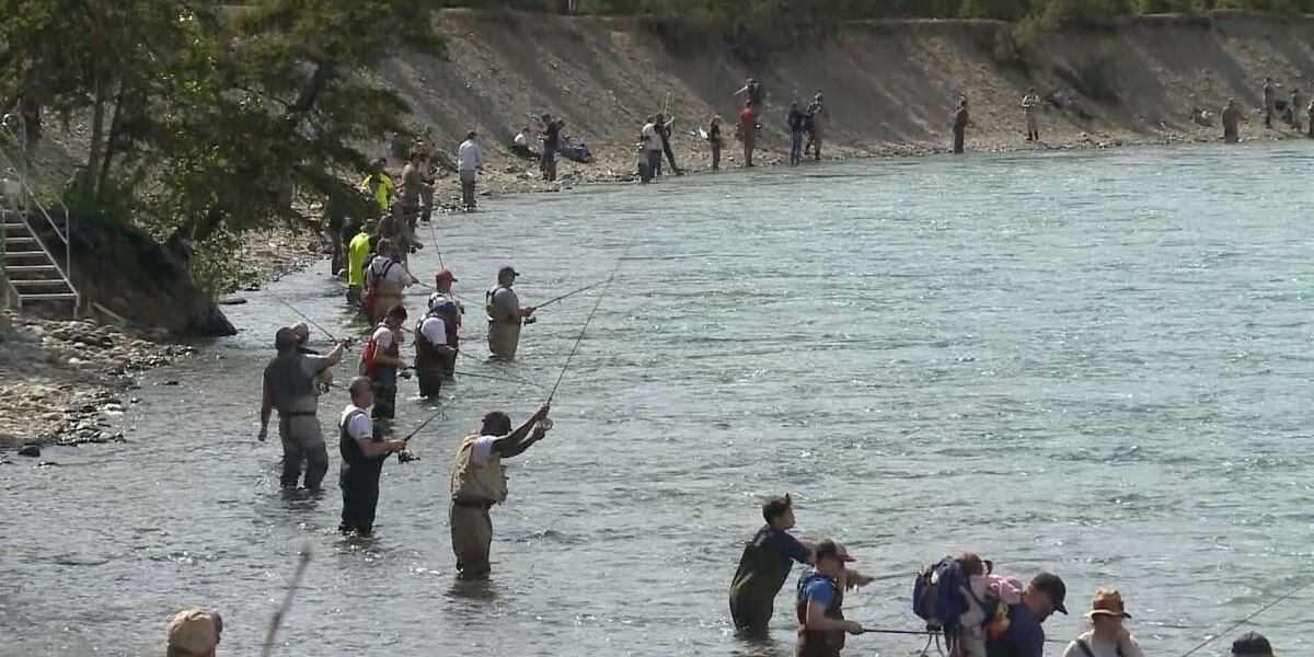 Kenai River anglers ask for closure of Cook Inlet commercial set netting