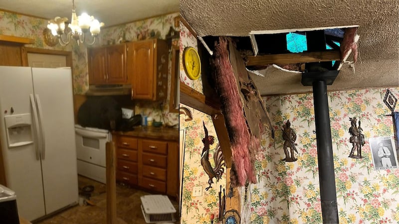 Bear found sitting on stove after climbing into Kentucky home