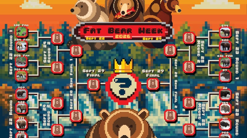 Fat Bear Week brackets revealed for 2026