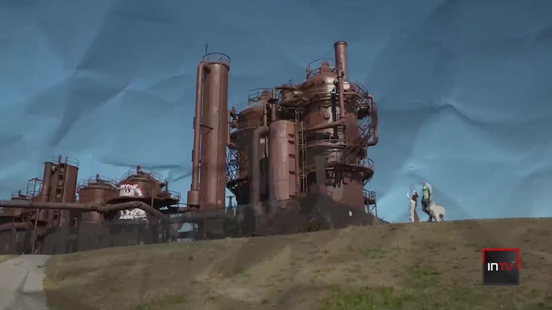 One of Seattle’s most treasured parks is a toxic waste site. Here’s why people love it anyway.