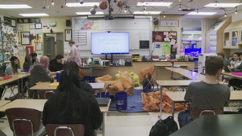 Governor Mike Dunleavy vetoed Senate Bill 140.