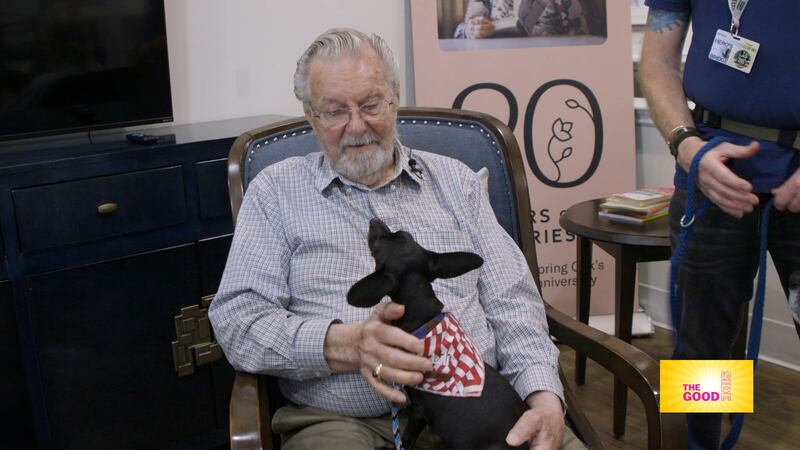 The Good Side - Paw Patrol Pups Bring Joy