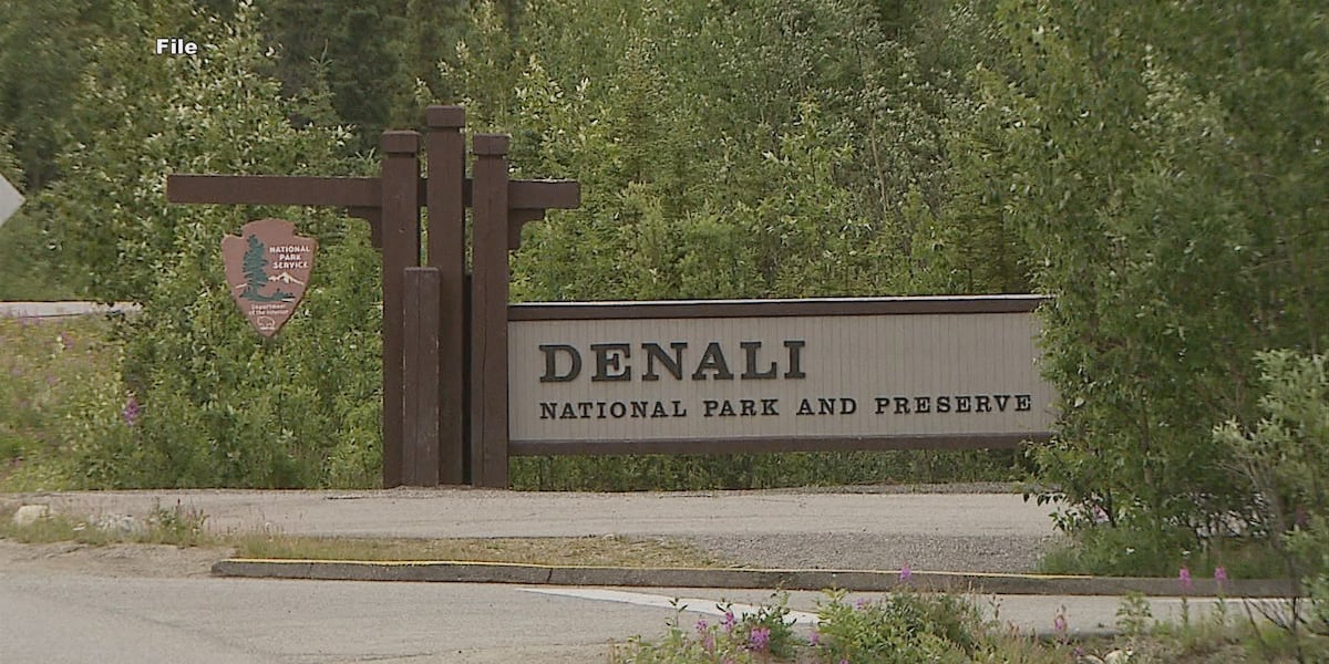 One dead, one injured after vehicle hits moose near Denali National Park
