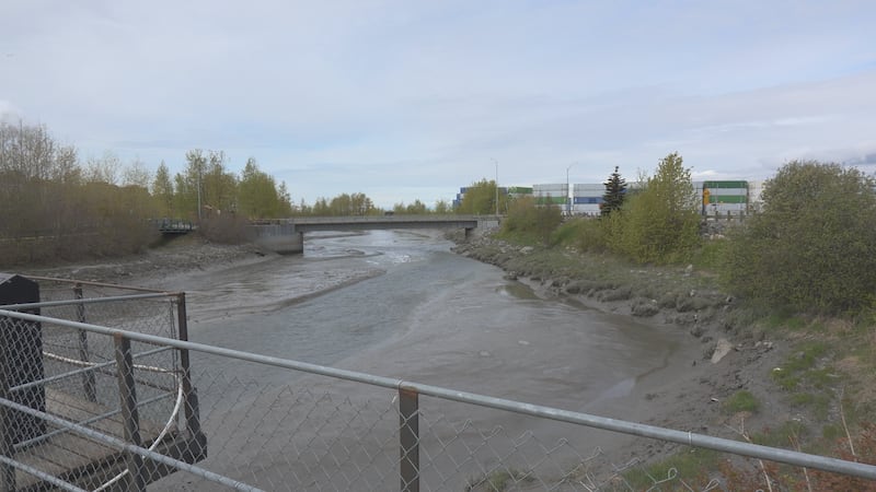 The 13th annual Ship Creek Cleanup kicks off on Saturday, as the people get ready for the 2025...