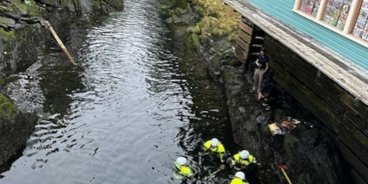 Indiana woman killed after vehicle plunges into Ketchikan Creek