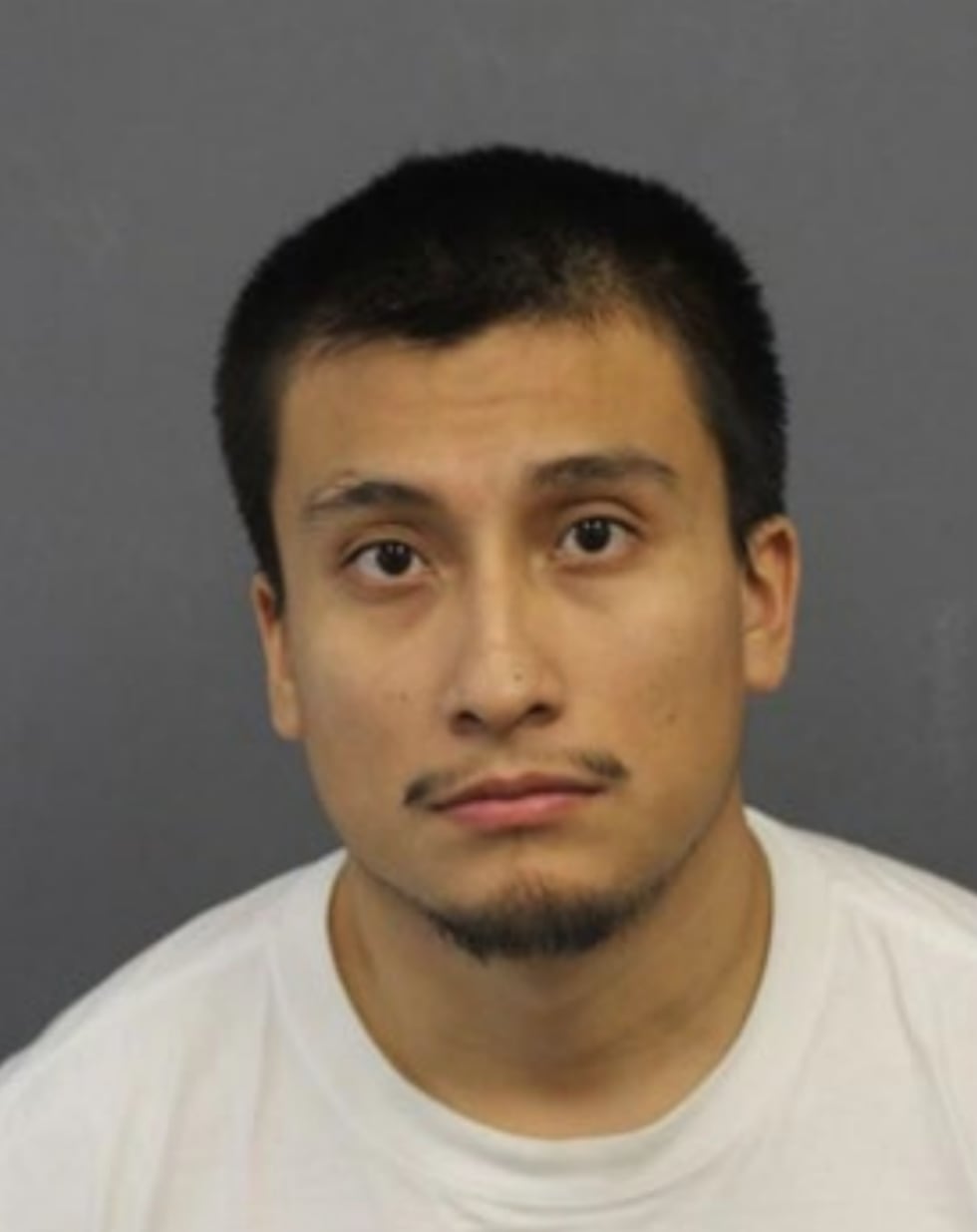 Officers found 27-year-old Miguel Alonso Maldonado Soriano vandalizing the monument with a...