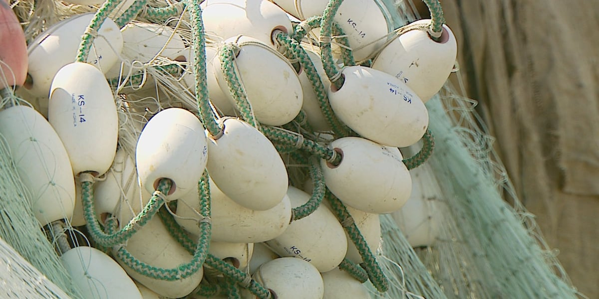 Fish and Game closes part of the Upper Cook Inlet to gillnet fishing