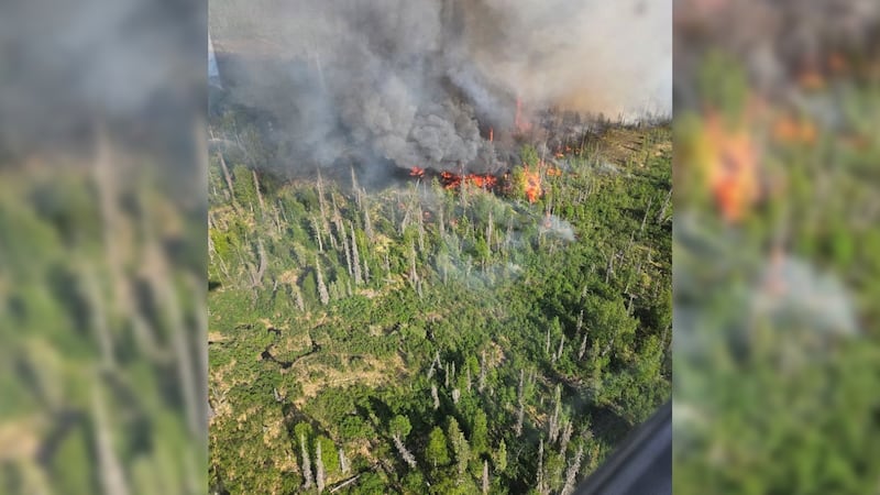 Photo of Fire #213, located 16 miles west of Mount Susitna.