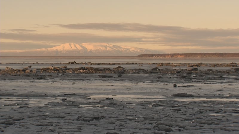 Tony Knowles Coastal Trail