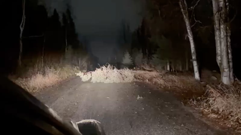 Wind gusts are knocking down trees and power lines throughout southcentral Alaska.