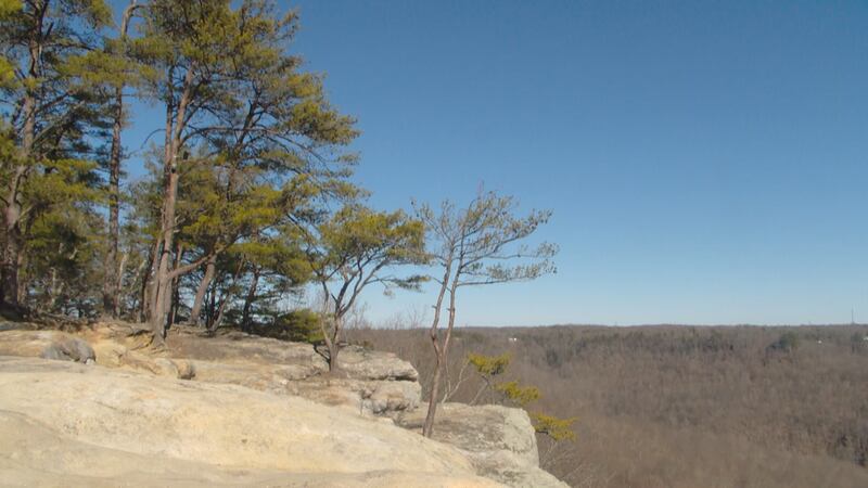 A 9-year-old died after falling from an overlook in Tennessee.