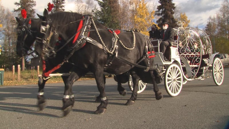 Anchorage couple celebrates 50th wedding anniversary with carriage ride around town.