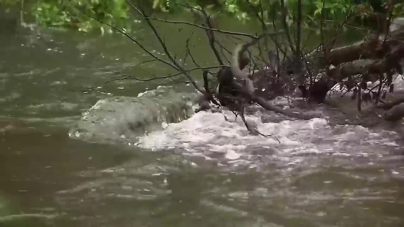 water levels remain high in Anchorage in July 2026
