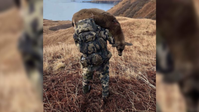 Federal prosecutors say the men ran unlicensed hunting trips out of Kodiak, including deer and...