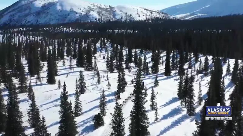 The 53rd running of the Iditarod is just over 40 days away, and the Iron Dog is even sooner.