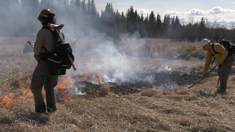 Division of Forestry firefighters conduct prescribed burn at Creamer's Field.