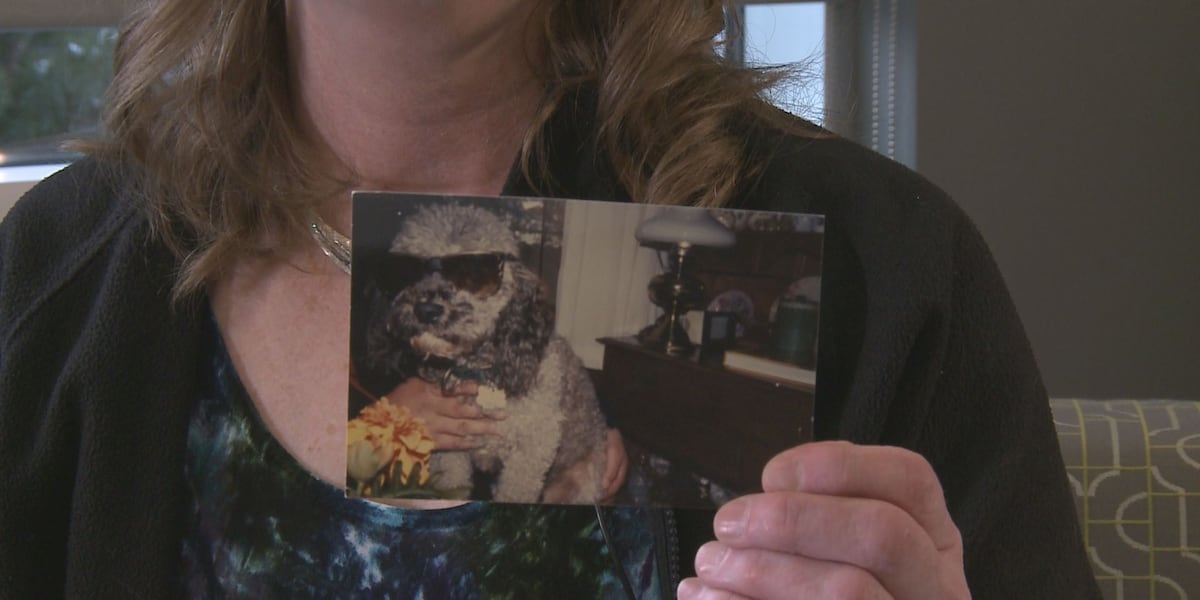 25 years of emergency medical care for pets and financial assistance for their owners 25 years of emergency medical care for pets and financial assistance for their owners