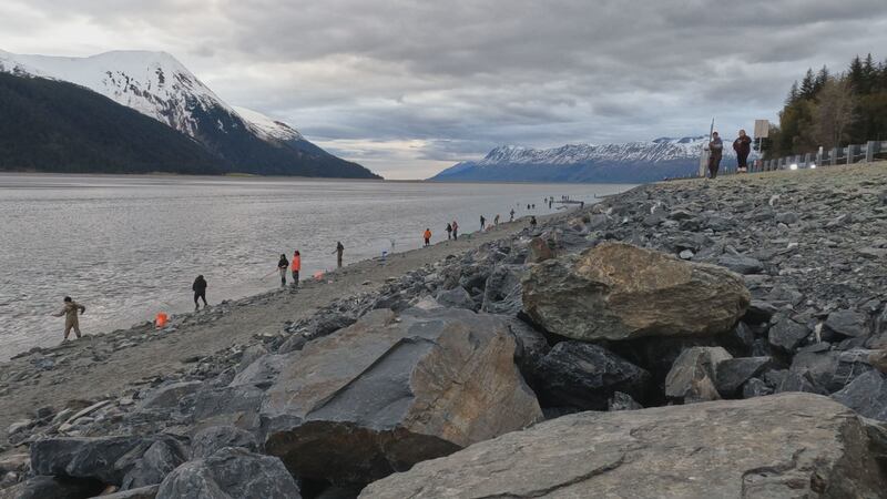Alaskans gather along the Turnagain Arm for the 2025 Hooligan run.