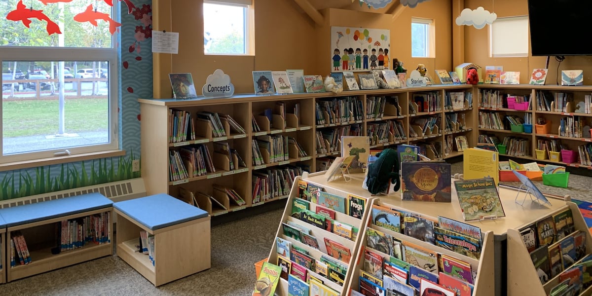 Sandnes Library Welcome to the new and improved Sand Lake Elementary library