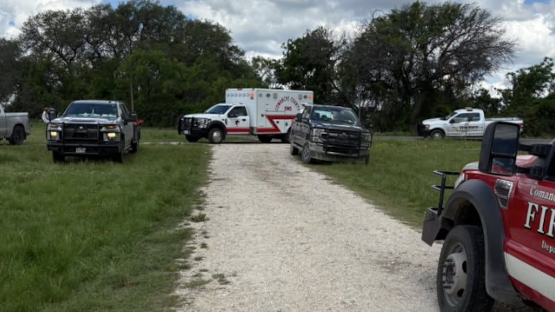 The owners of the horses sustained numerous bee stings attempting to move the horses away from...